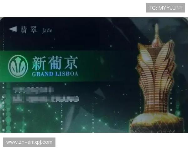 澳门新葡京游戏官网多样化的游戏类型满足不同玩家的需求与偏好